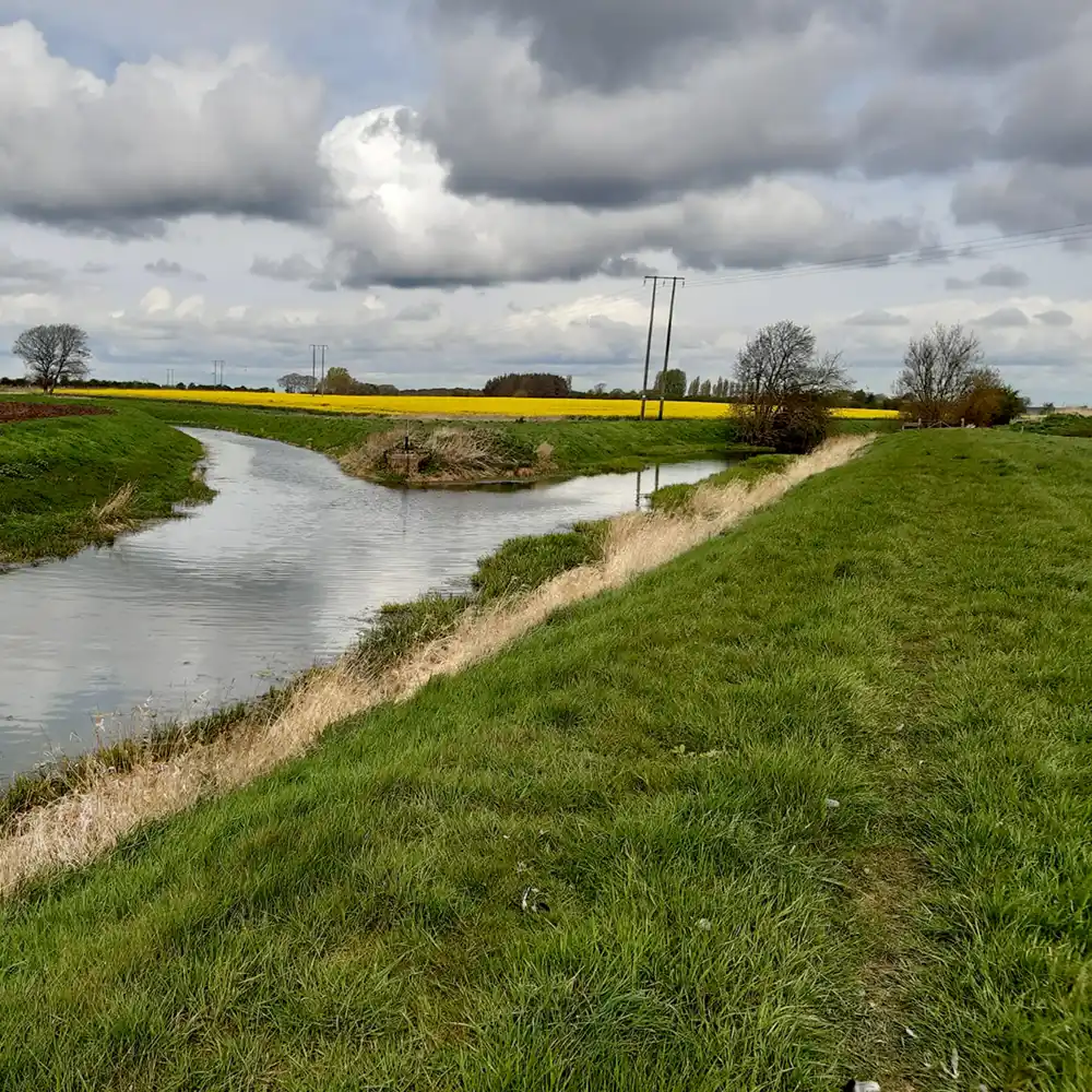 Fork in the River Foulness meeting the Market Weighton Canal.