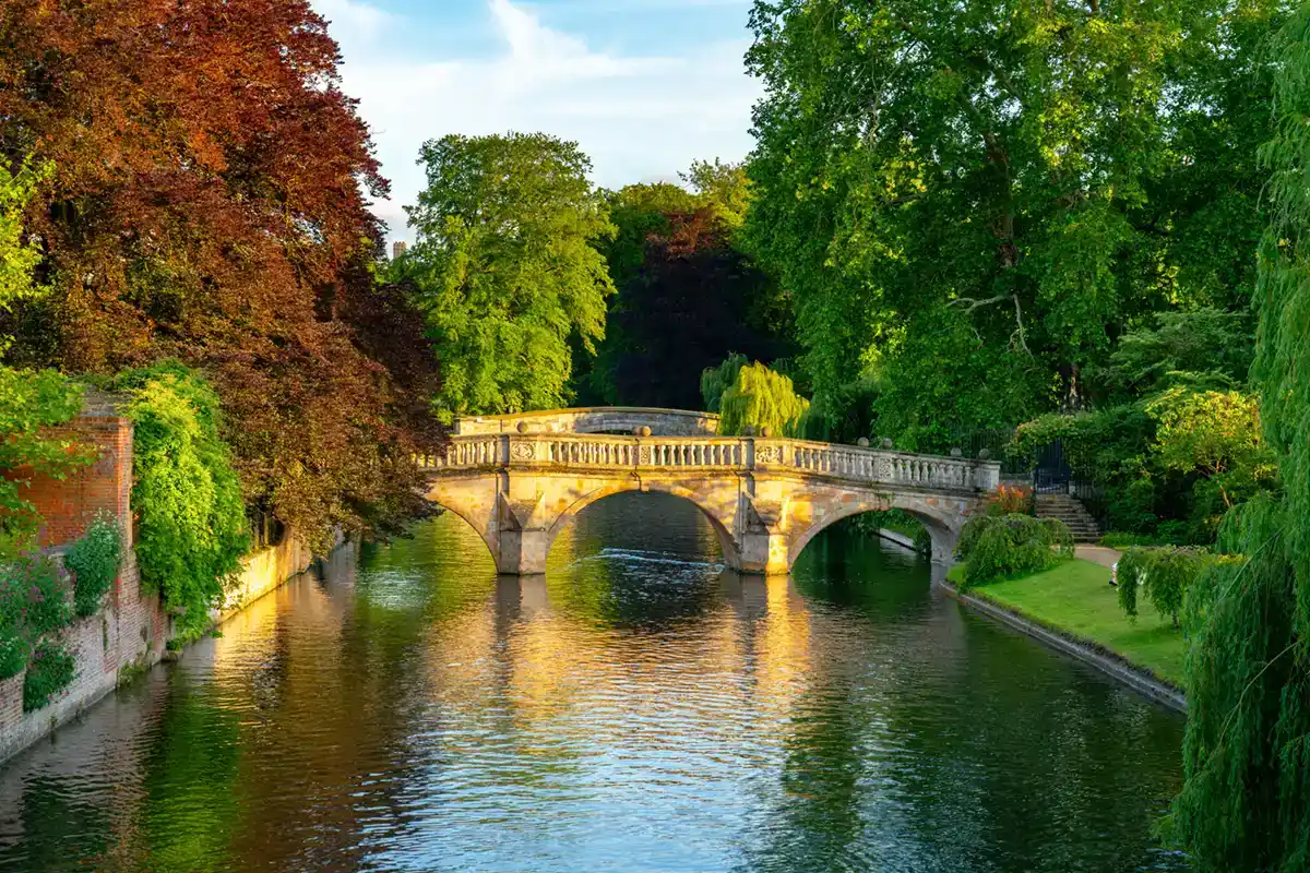 An summer scene, with trees, a old stone bridge spanning a canal with the water shimmering toward the viewer.